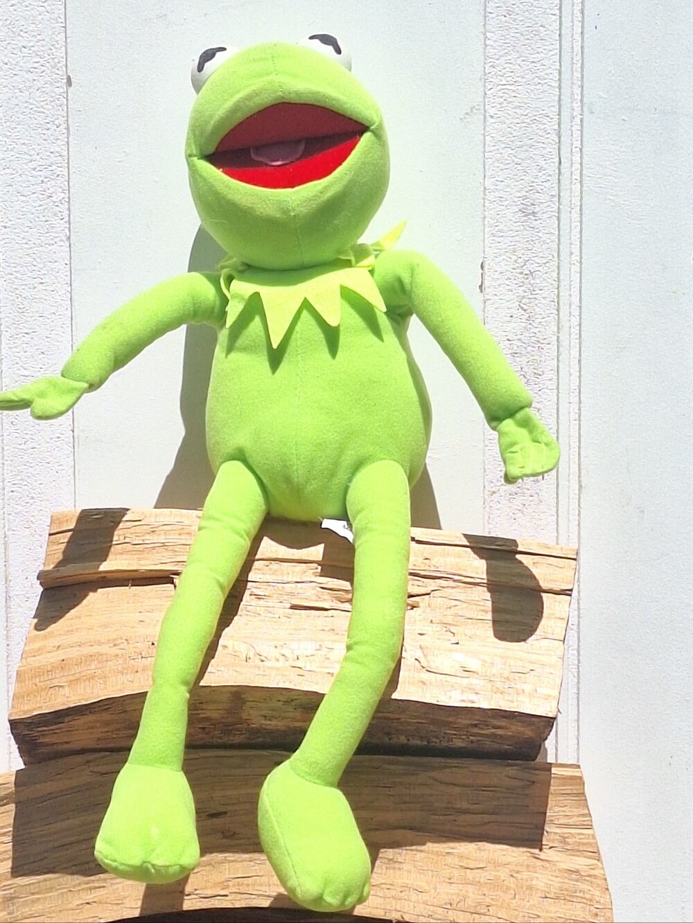 Official Disney Store Kermit the Frog Plush 2007 - Picture 3 of 11